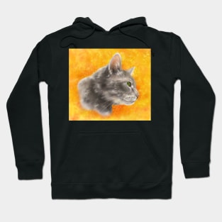 Sunny Cat Hoodie